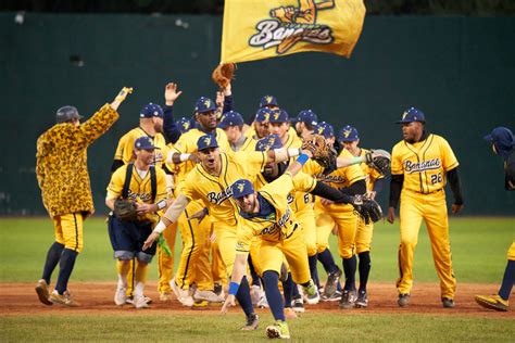 the savannah bananas|the savannah bananas roster.